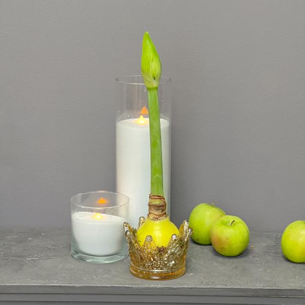 Интерьерная композиция "Амариллис: Грация в желтом свете"