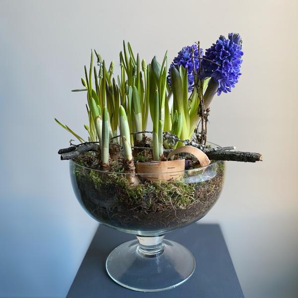 Луковичная композиция "Лесная поляна'' размер XL