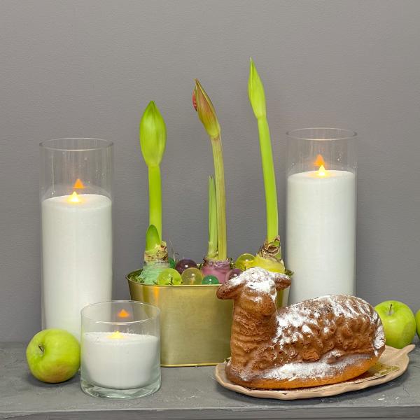 Интерьерная композиция "Амариллис: Радуга цвета"