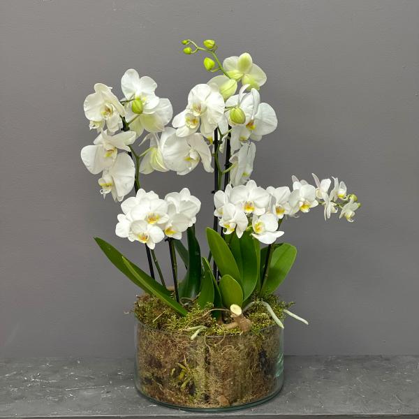 Интерьерная композиция в стекле "Белые ночи" (L)