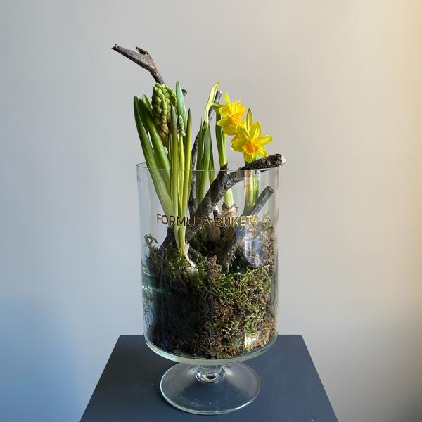 Луковичная композиция "Лесная поляна'' размер S