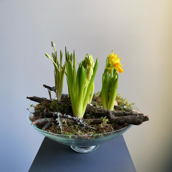 Луковичная композиция "Лесная поляна'' размер L